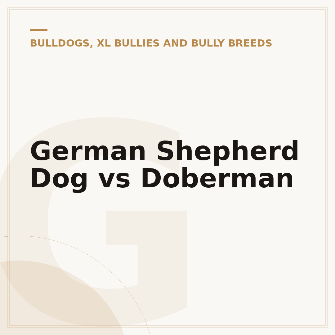 German Shepherd Dog vs Doberman