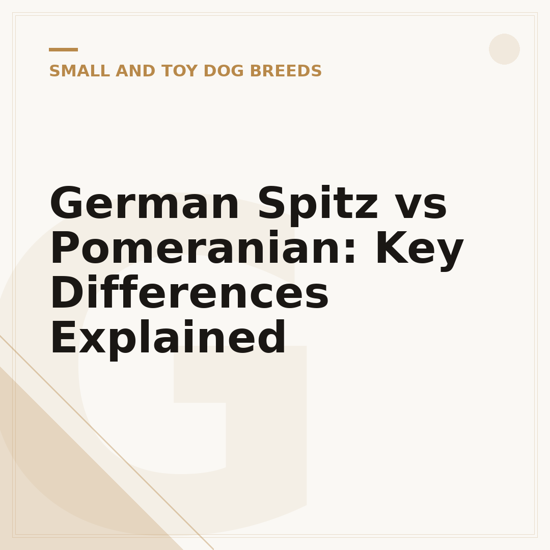 German Spitz vs Pomeranian: Key Differences Explained
