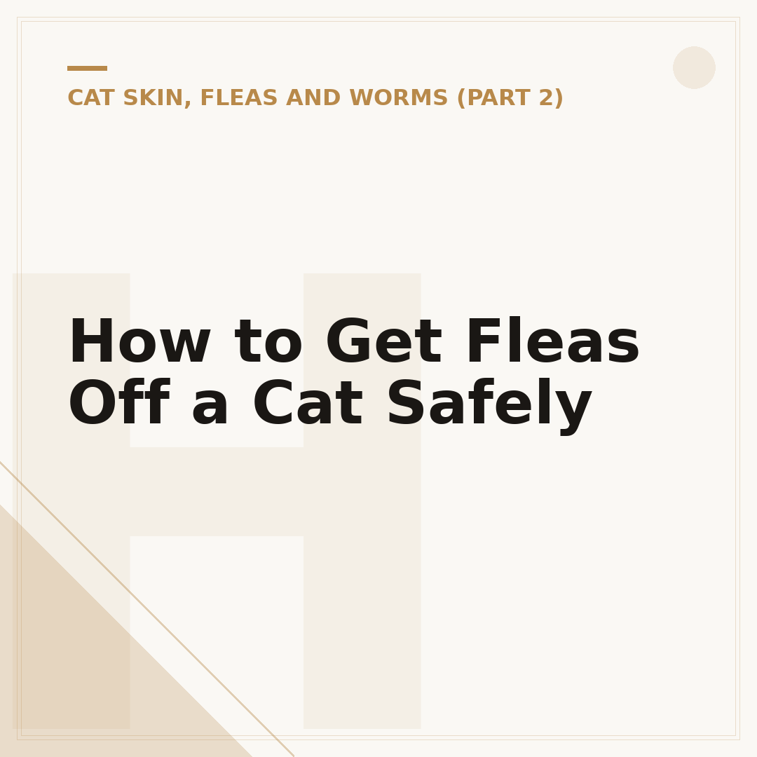 How to Get Fleas Off a Cat Safely