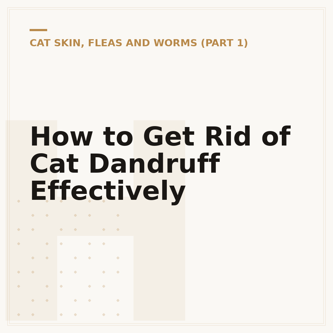 How to Get Rid of Cat Dandruff Effectively