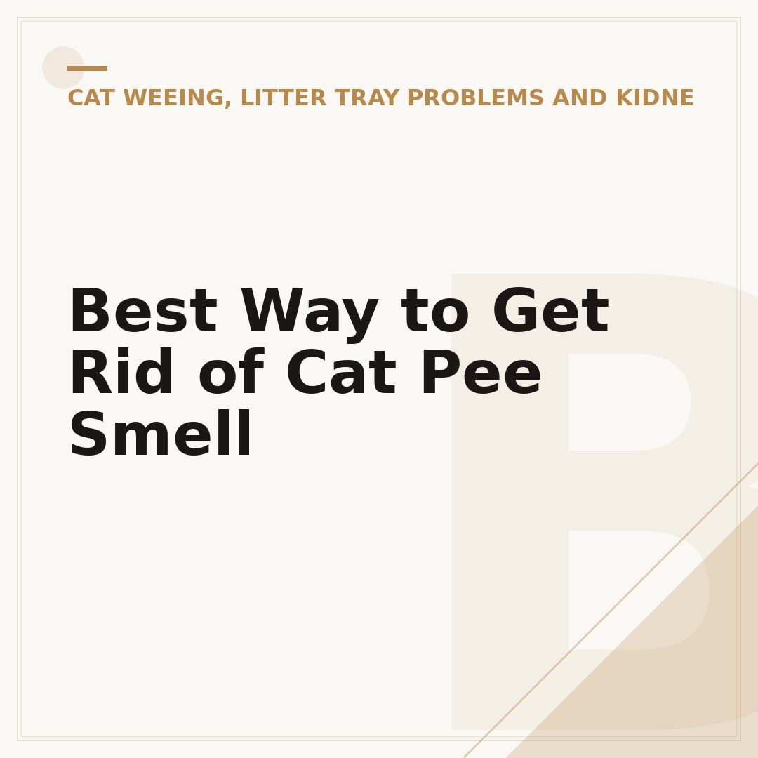 Best Way to Get Rid of Cat Pee Smell