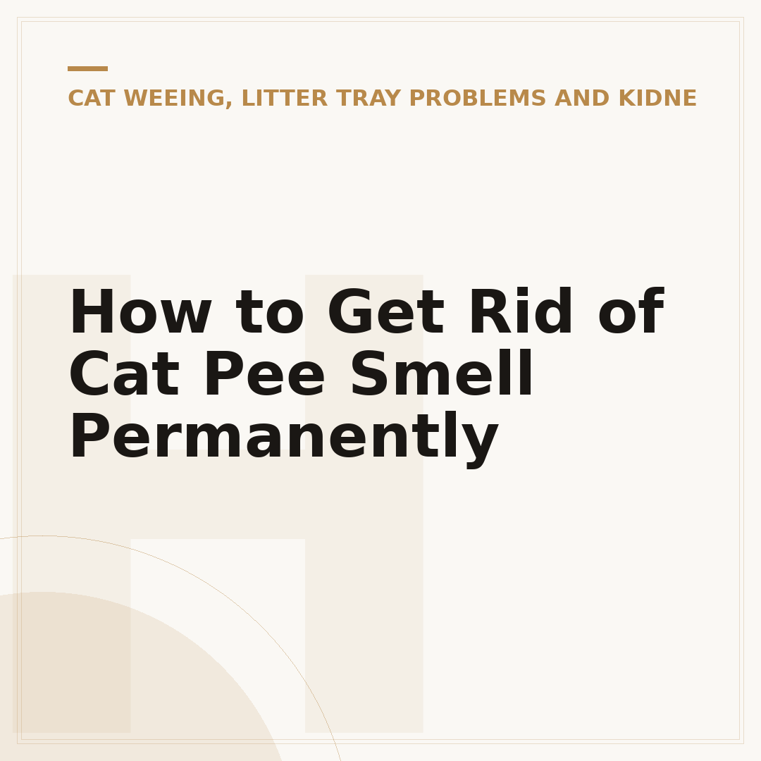 How to Get Rid of Cat Pee Smell Permanently