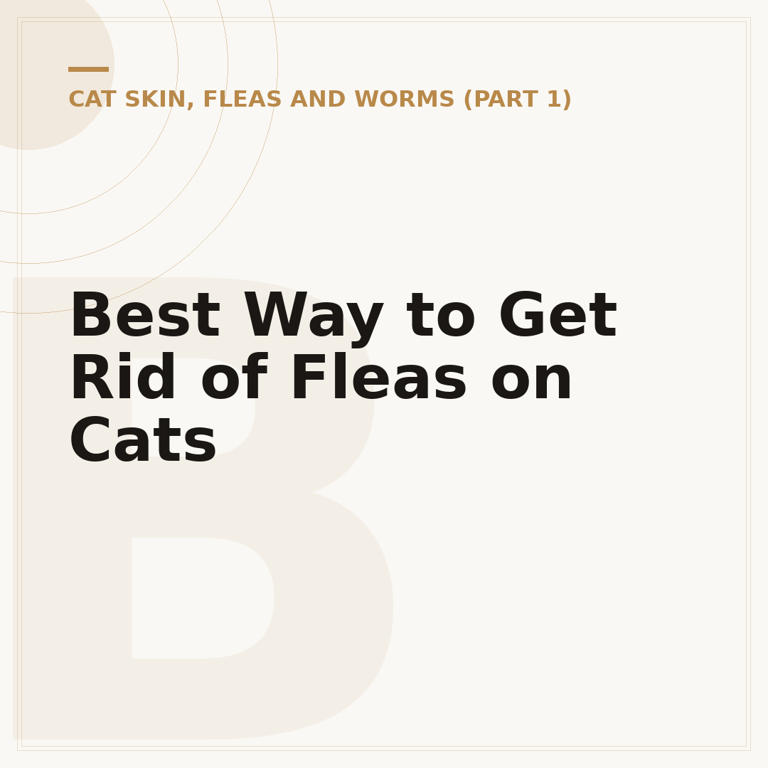 Best Way to Get Rid of Fleas on Cats