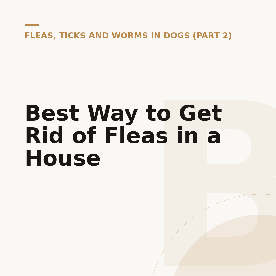 Best Way to Get Rid of Fleas in a House