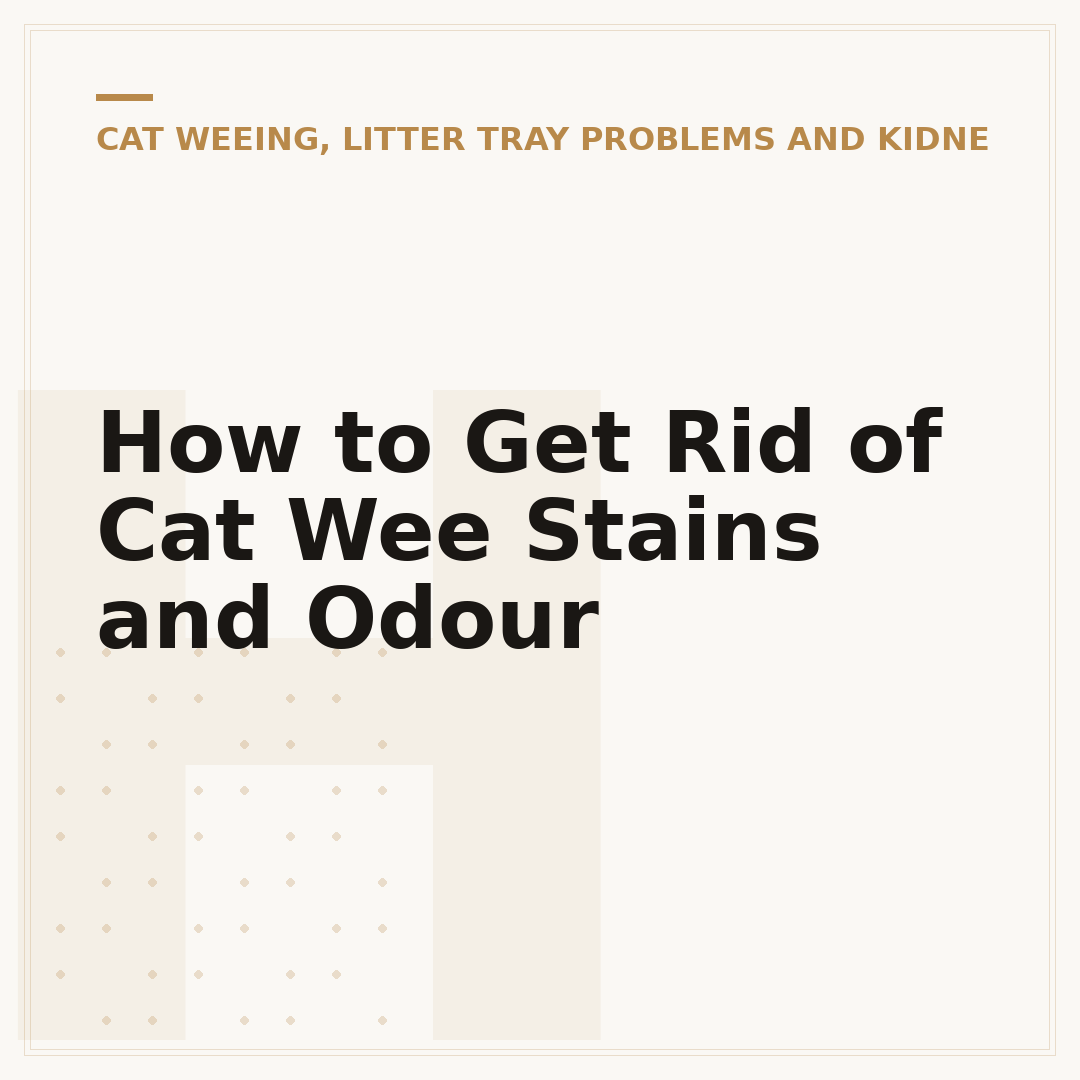 How to Get Rid of Cat Wee Stains and Odour