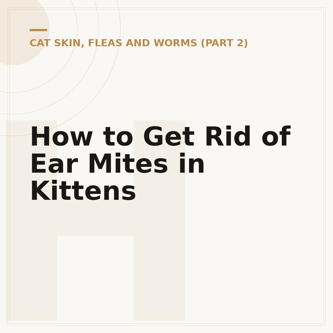 How to Get Rid of Ear Mites in Kittens