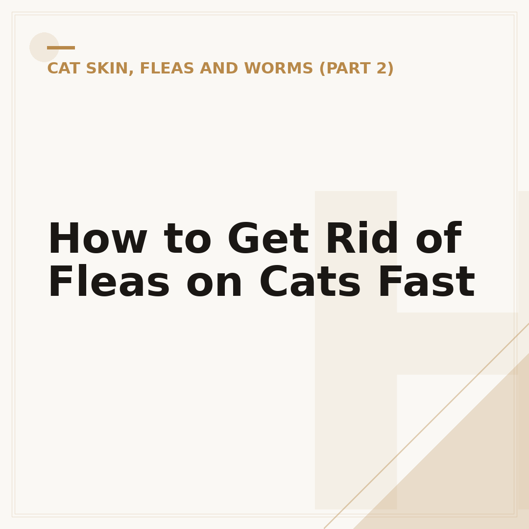 How to Get Rid of Fleas on Cats Fast