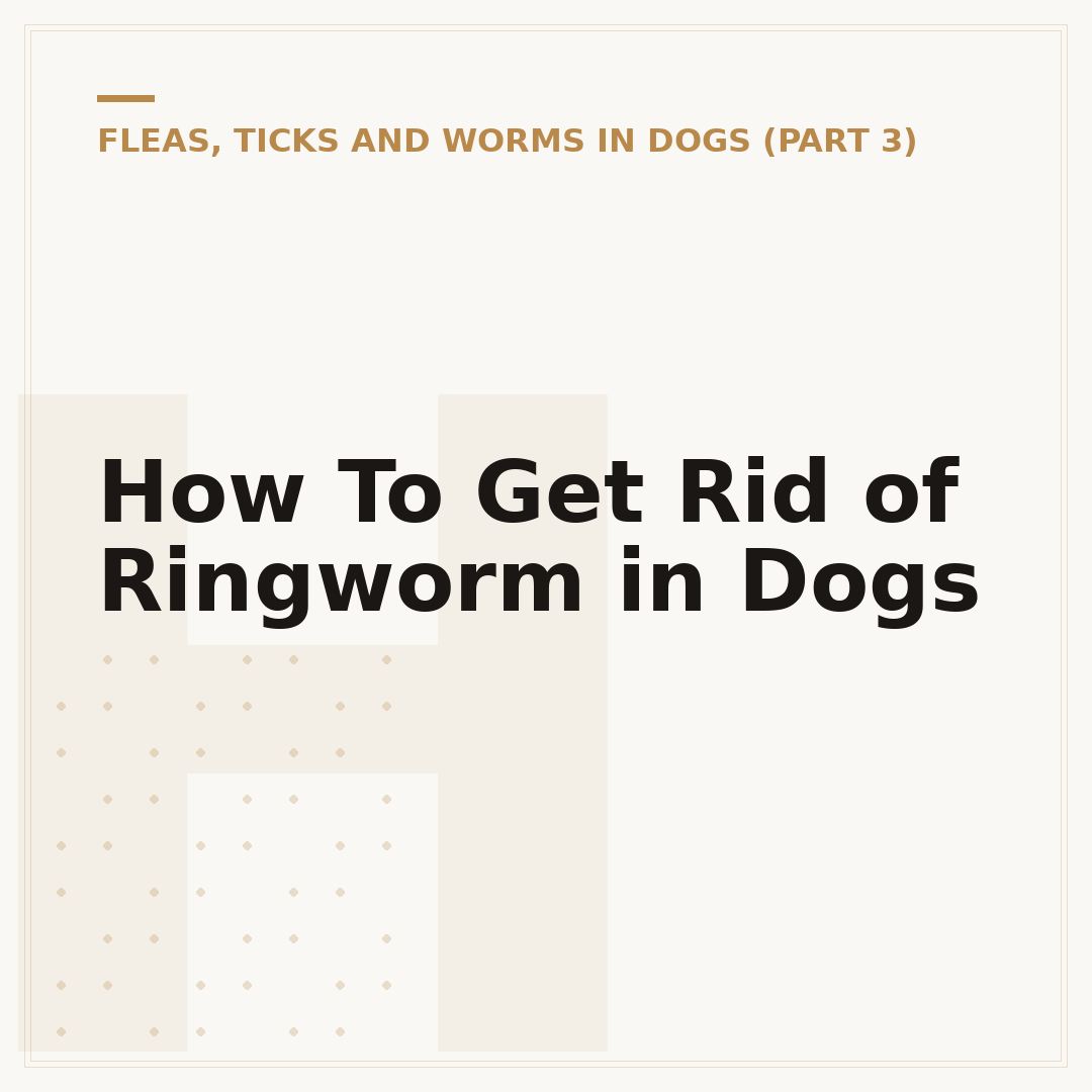 How To Get Rid of Ringworm in Dogs