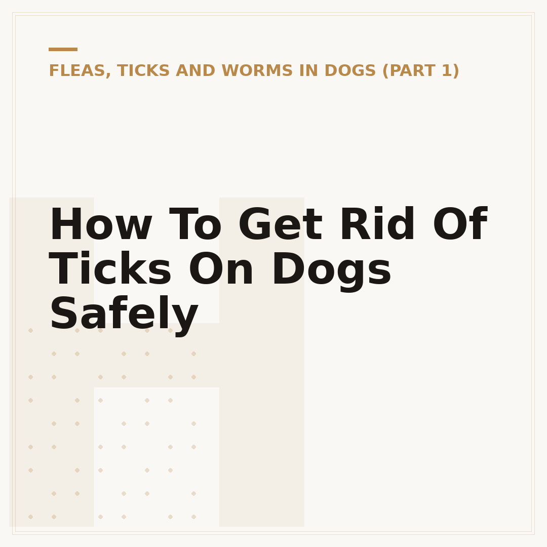 How To Get Rid Of Ticks On Dogs Safely