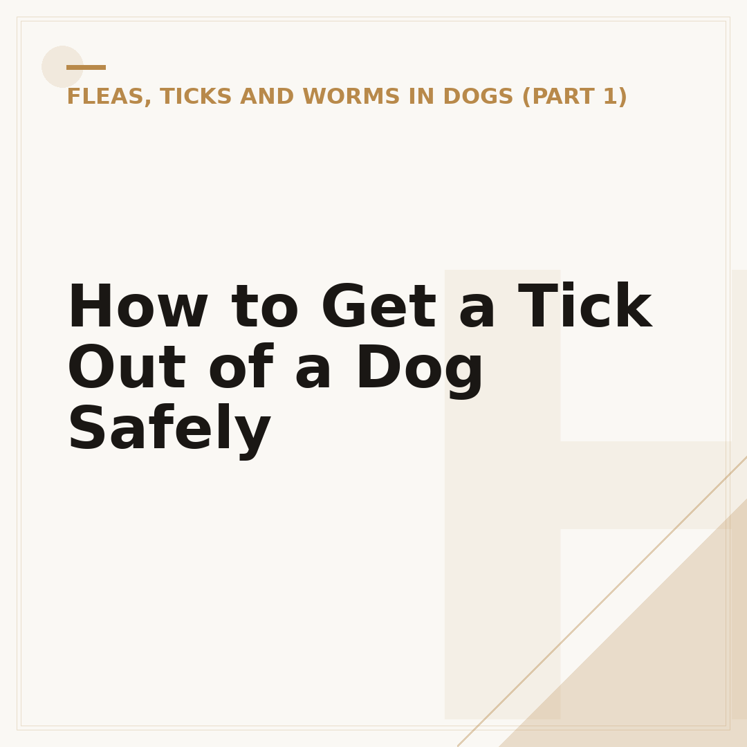 How to Get a Tick Out of a Dog Safely