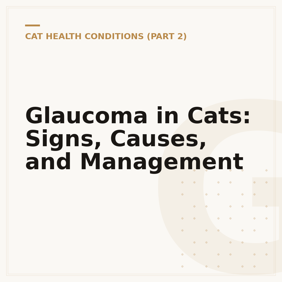 Glaucoma in Cats: Signs, Causes, and Management