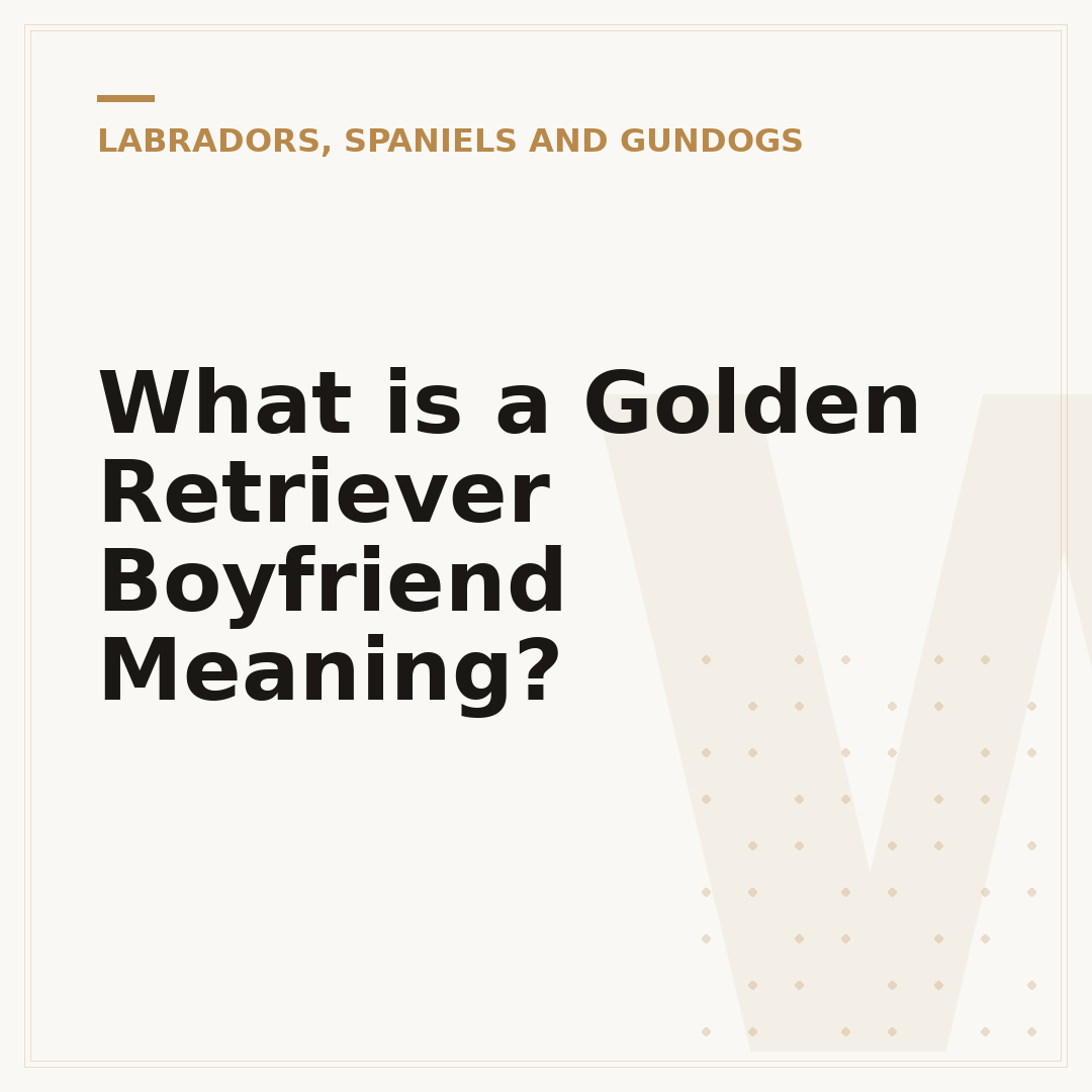 What is a Golden Retriever Boyfriend Meaning?
