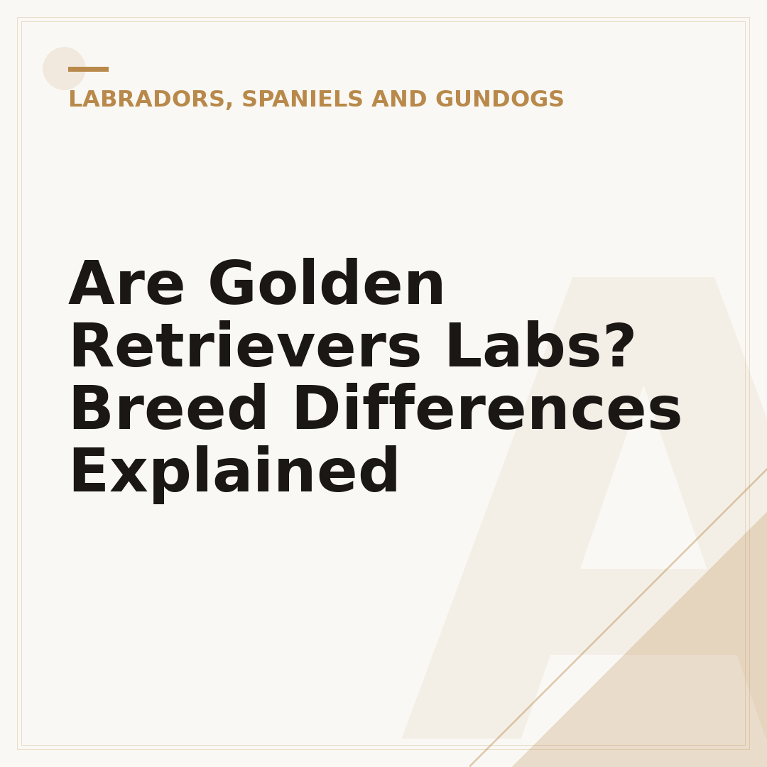 Are Golden Retrievers Labs? Breed Differences Explained