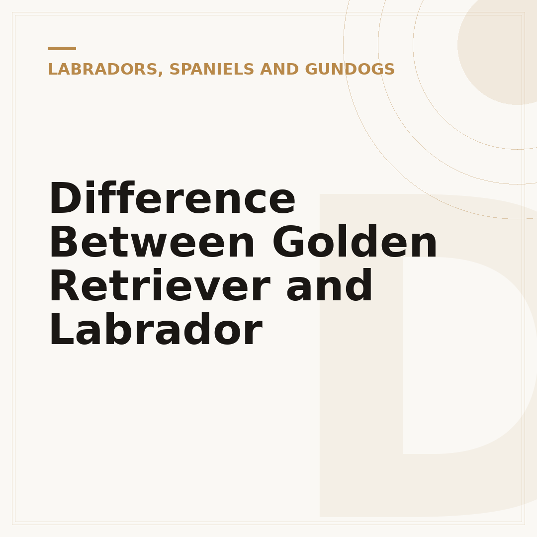 Difference Between Golden Retriever and Labrador