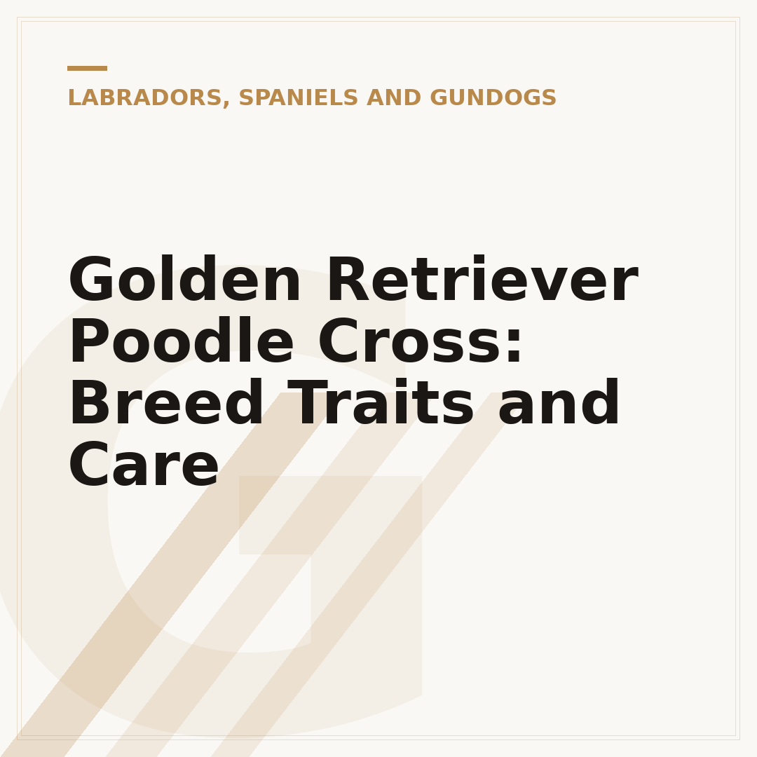 Golden Retriever Poodle Cross: Breed Traits and Care