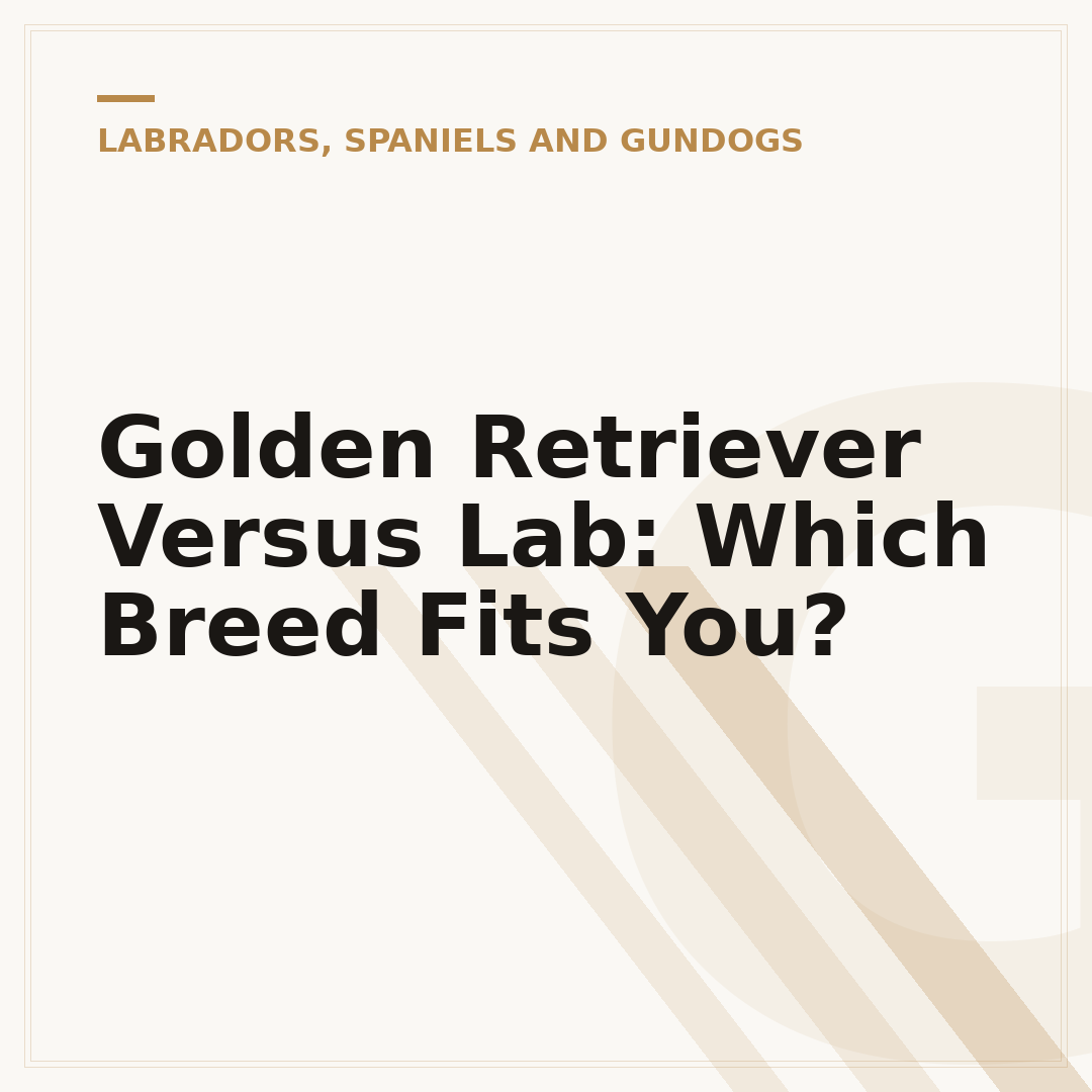 Golden Retriever Versus Lab: Which Breed Fits You?