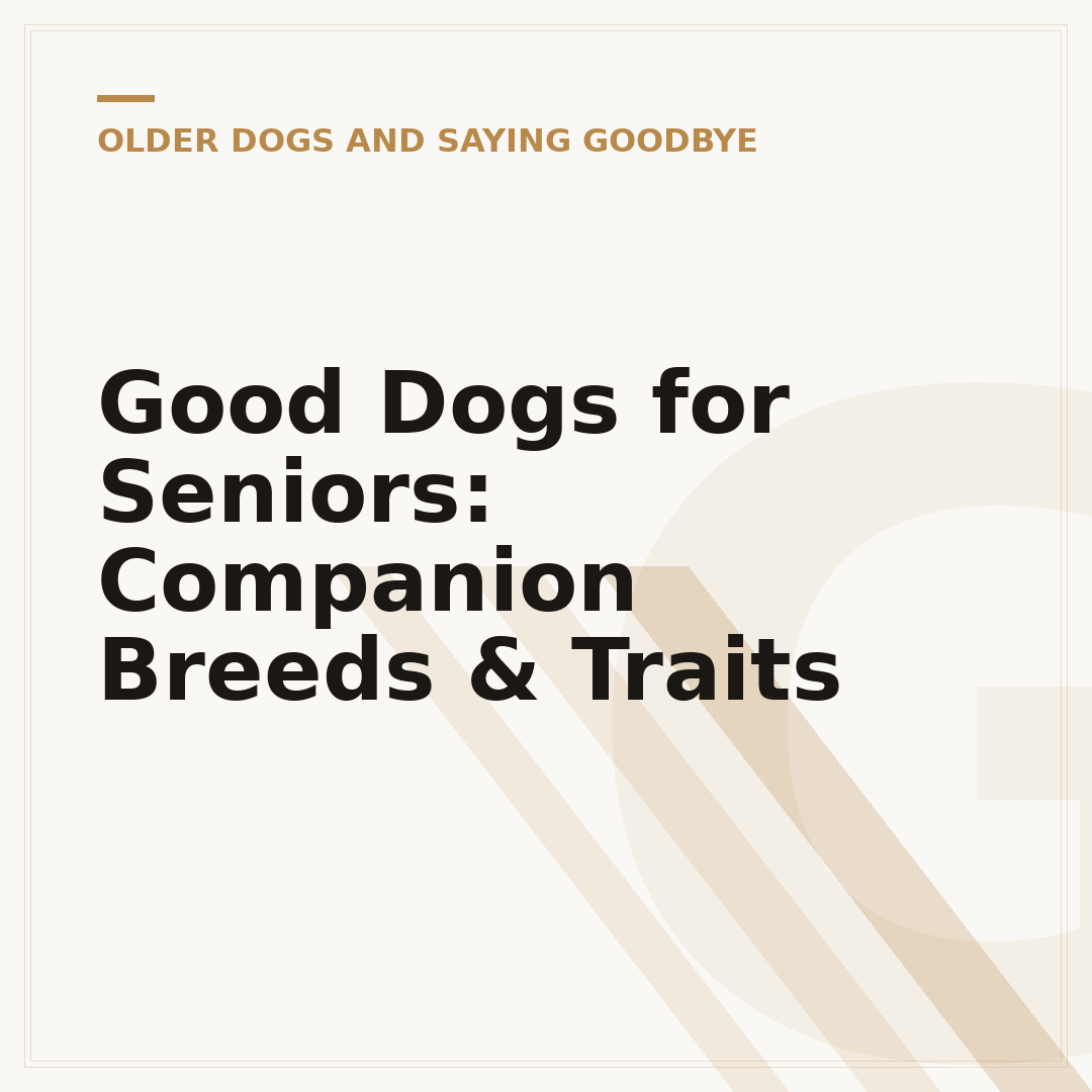 Good Dogs for Seniors: Companion Breeds & Traits