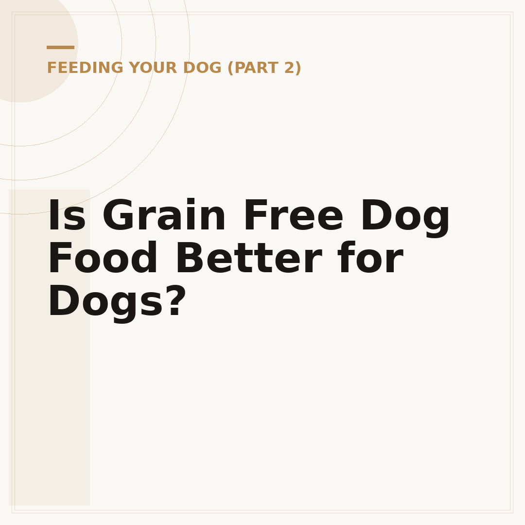 Is Grain Free Dog Food Better for Dogs?