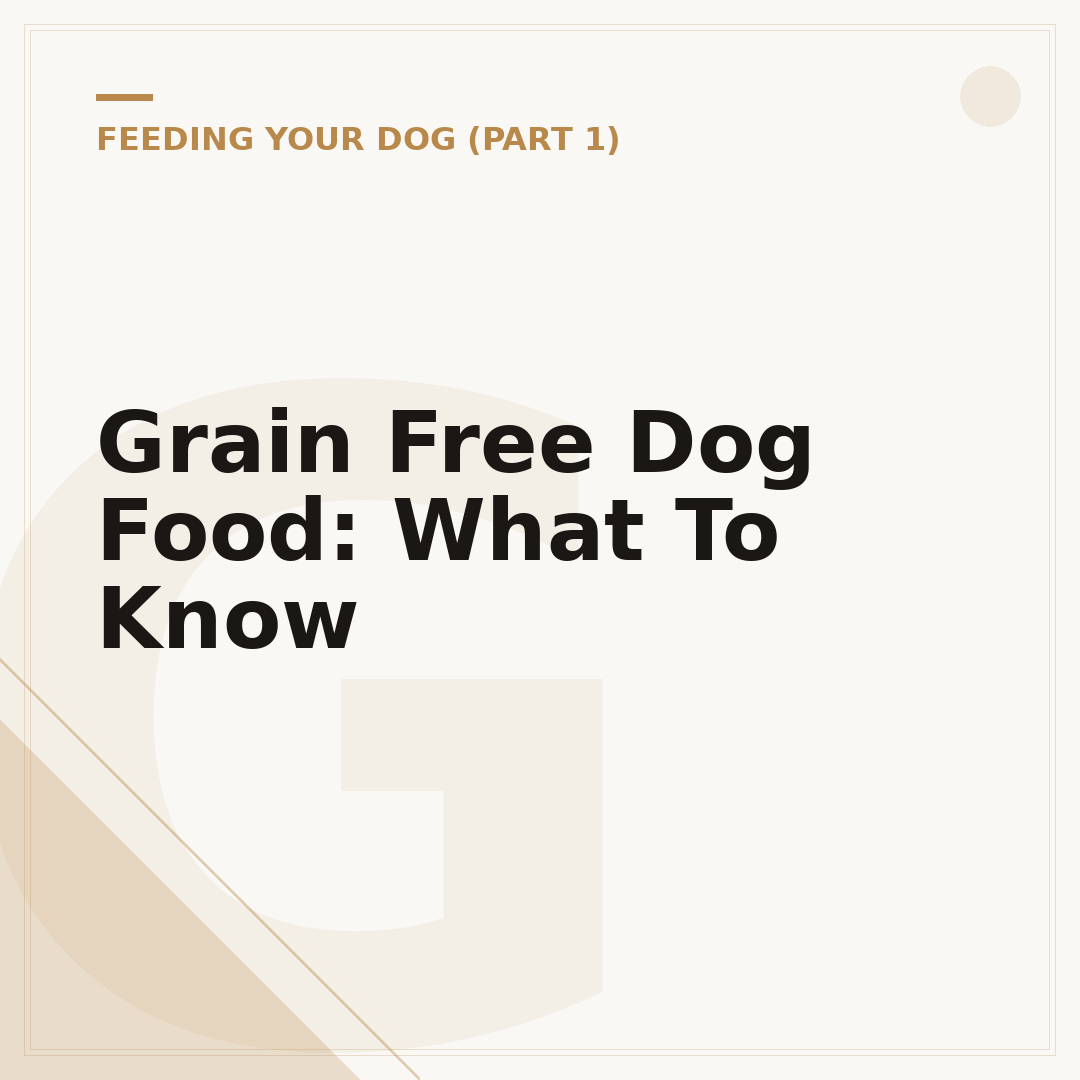 Grain Free Dog Food: What To Know