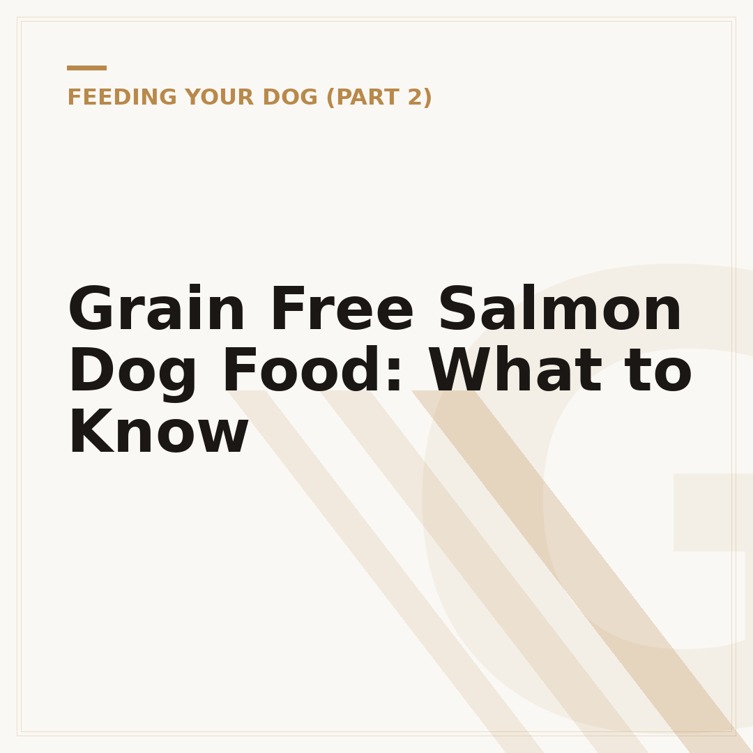 Grain Free Salmon Dog Food: What to Know