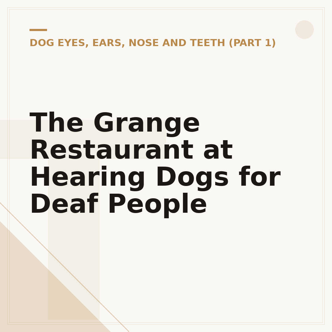 The Grange Restaurant at Hearing Dogs for Deaf People