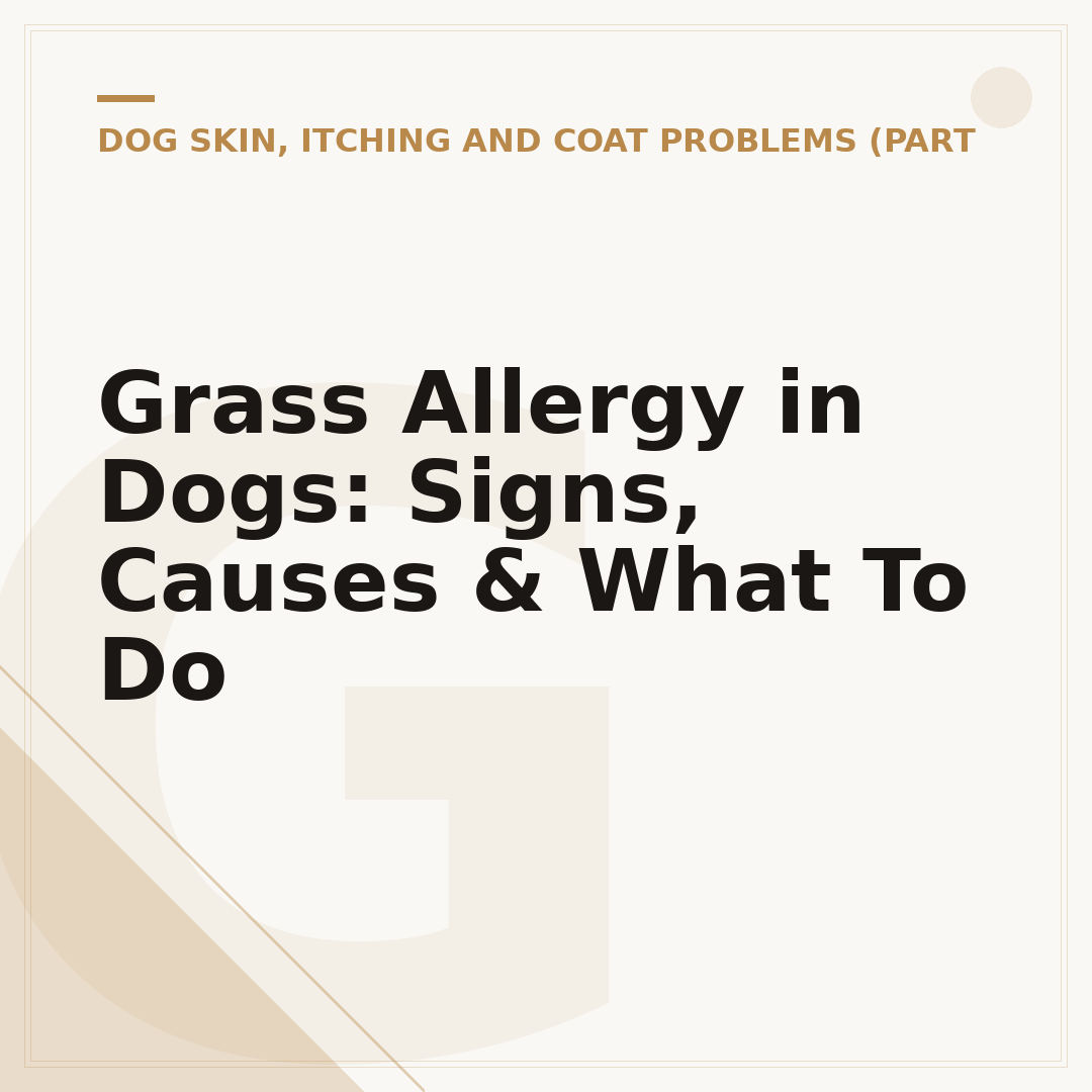 Grass Allergy in Dogs: Signs, Causes & What To Do