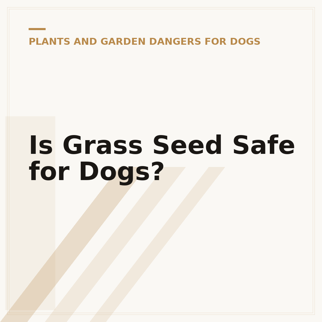 Is Grass Seed Safe for Dogs?
