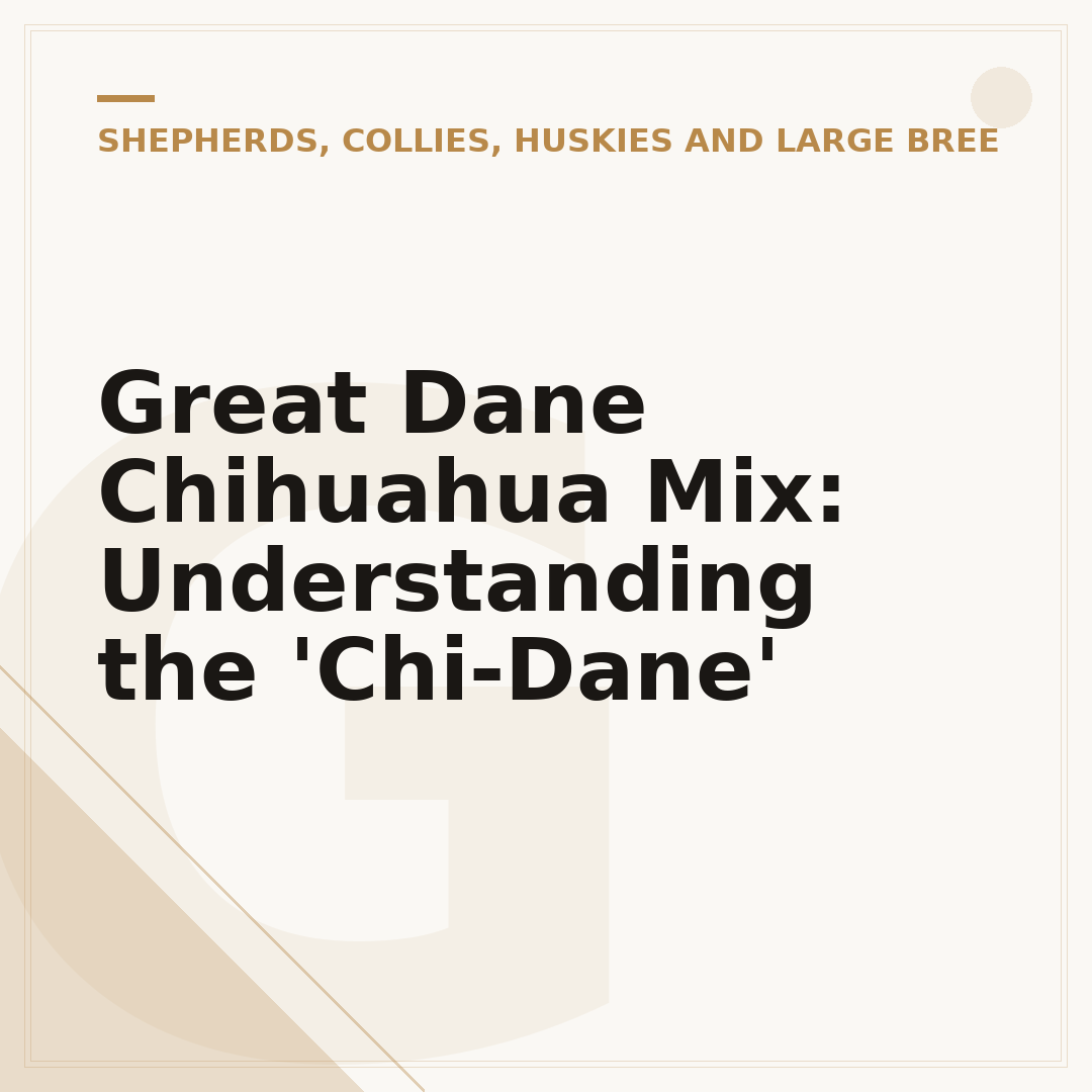 Great Dane Chihuahua Mix: Understanding the 'Chi-Dane'