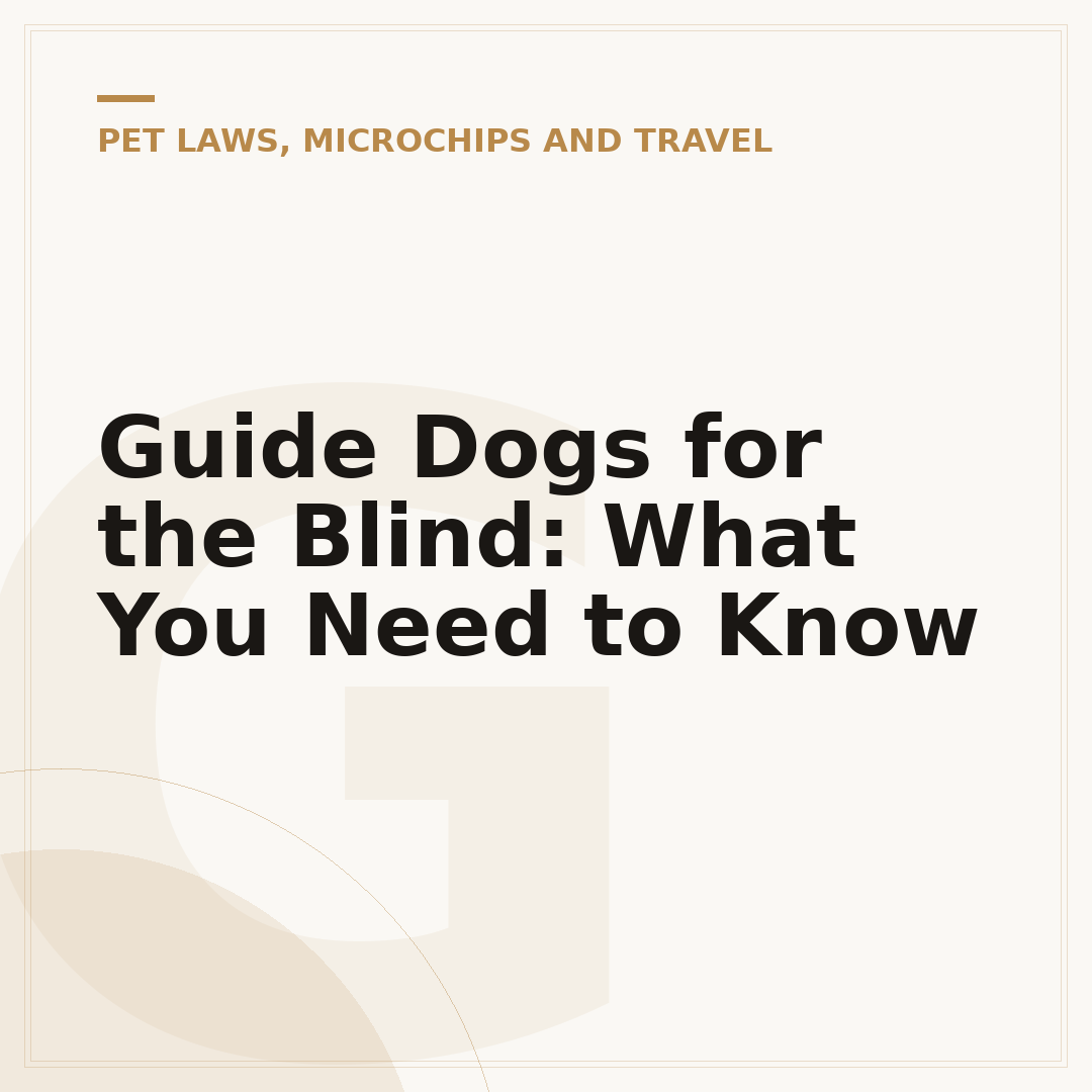 Guide Dogs for the Blind: What You Need to Know
