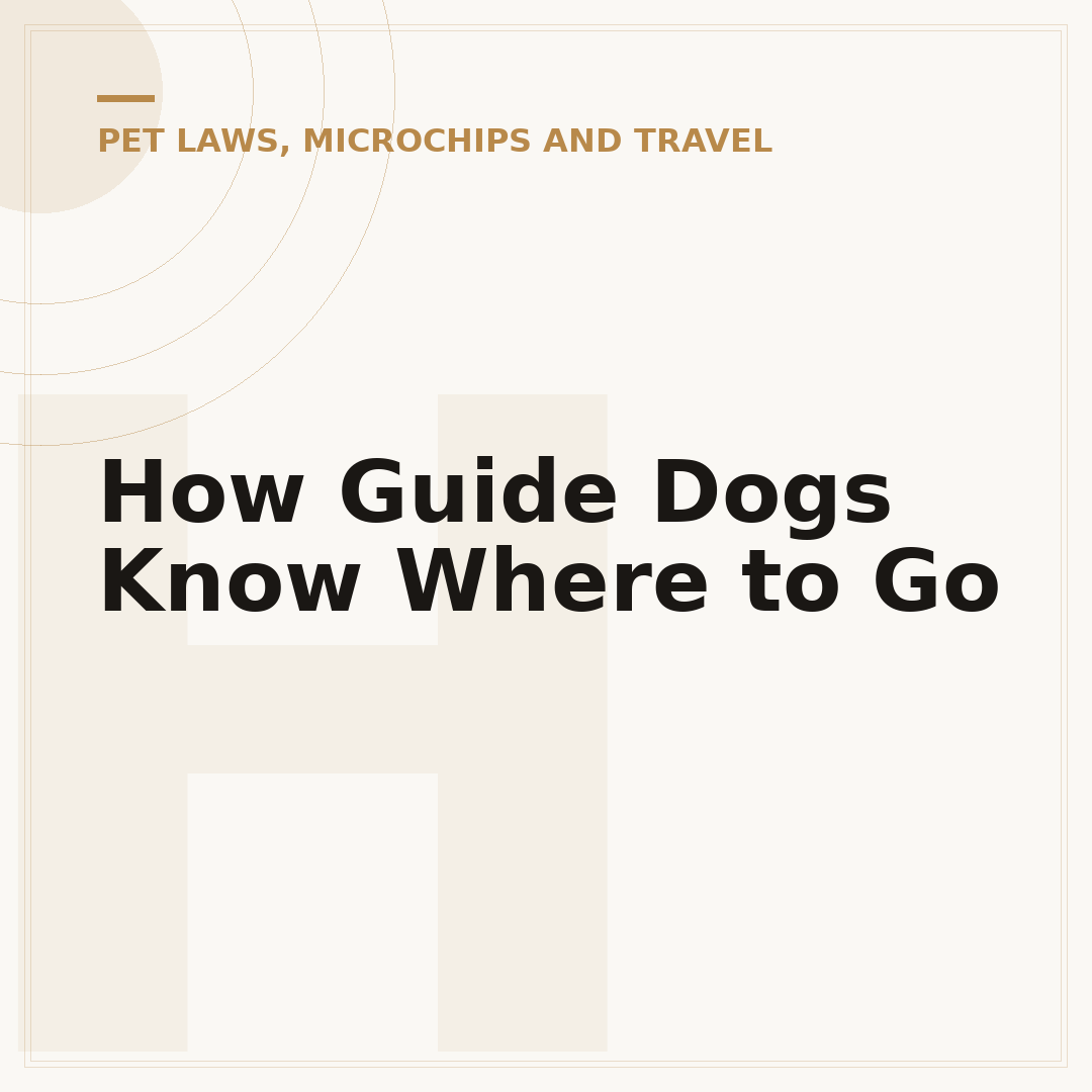 How Guide Dogs Know Where to Go