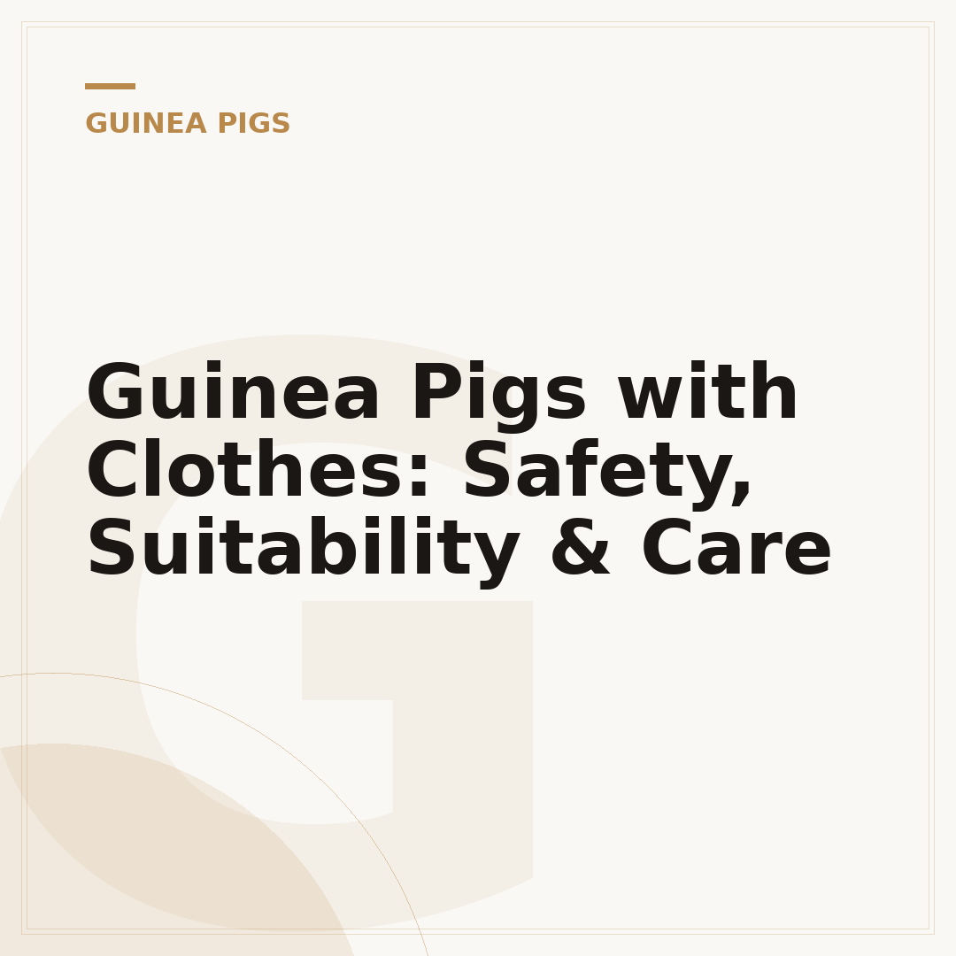 Guinea Pigs with Clothes: Safety, Suitability & Care