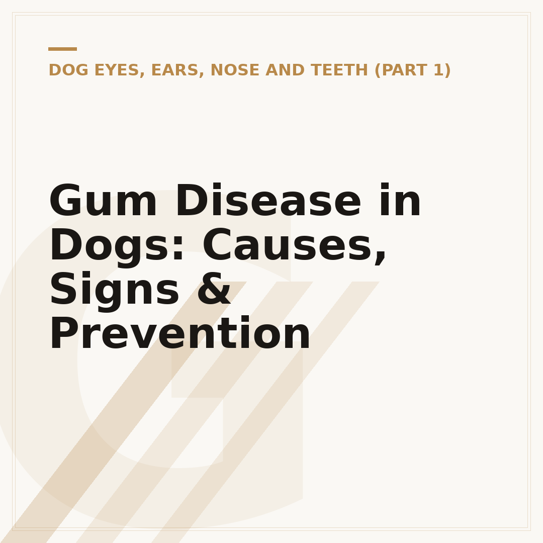 Gum Disease in Dogs: Causes, Signs & Prevention