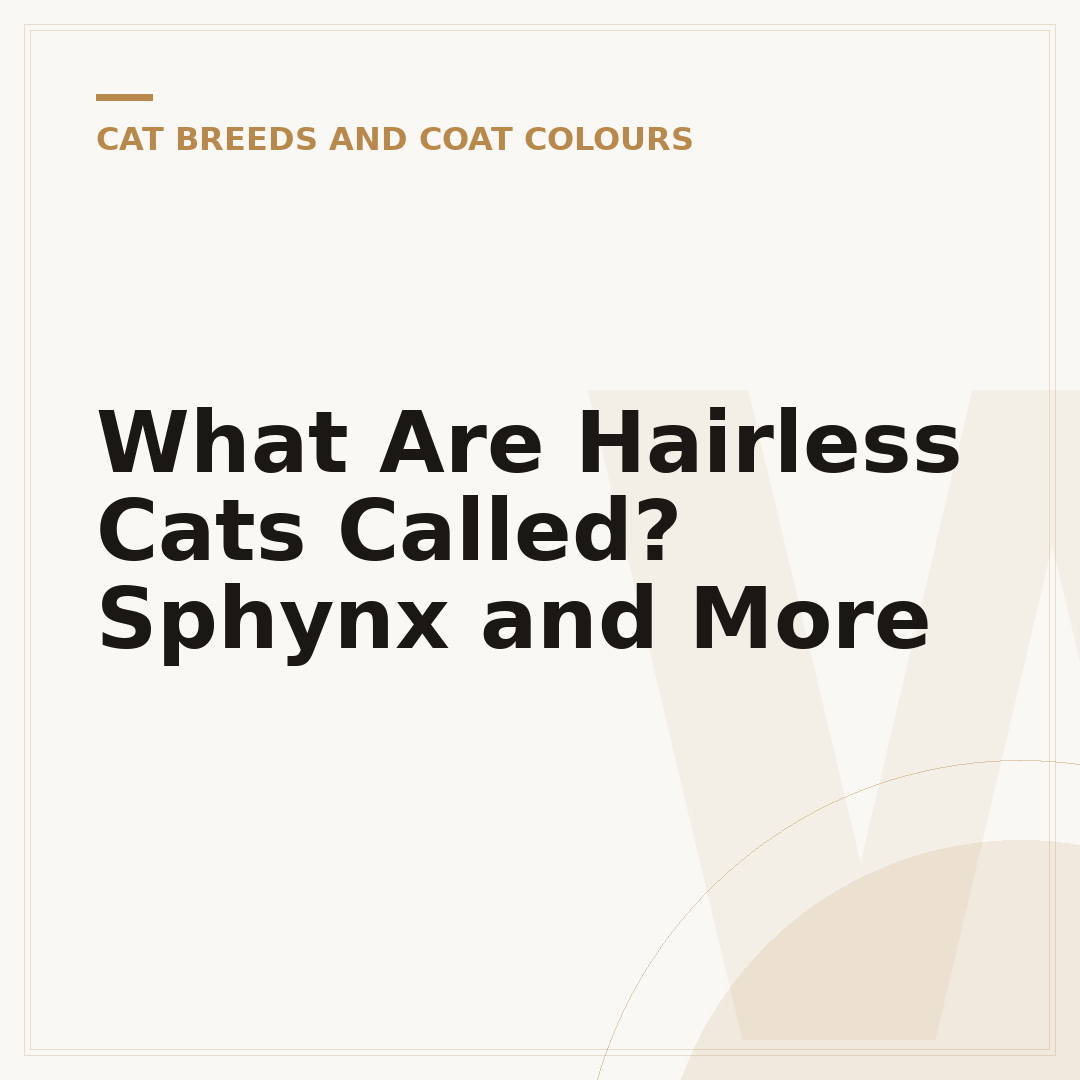 What Are Hairless Cats Called? Sphynx and More