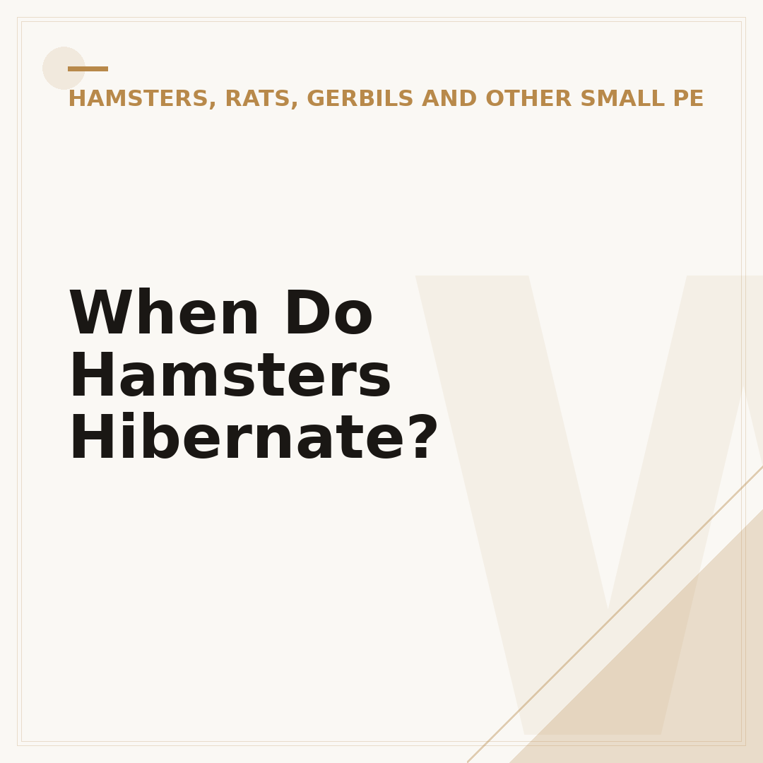 When Do Hamsters Hibernate?