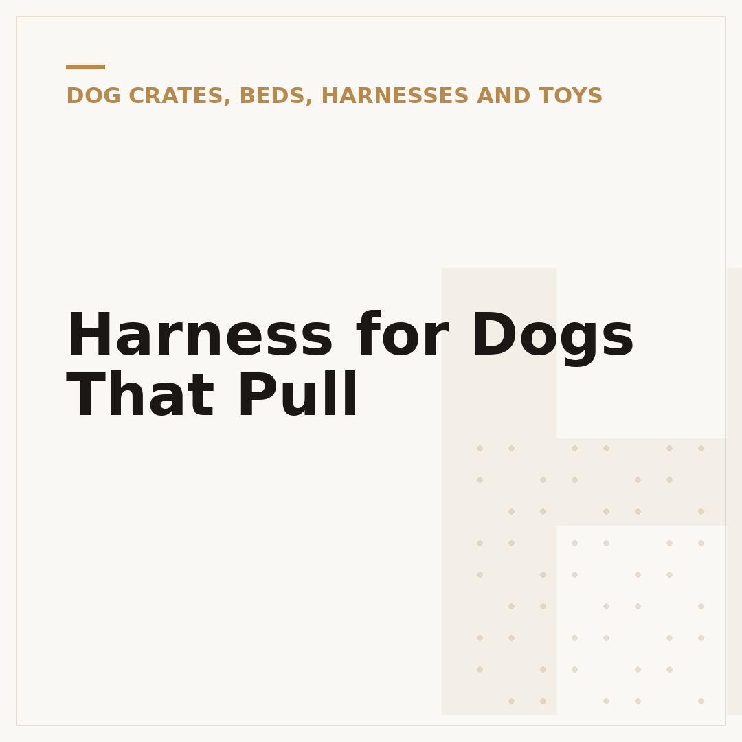 Harness for Dogs That Pull