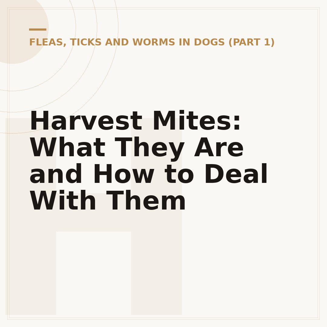Harvest Mites: What They Are and How to Deal With Them