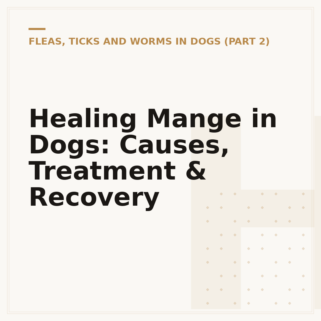 Healing Mange in Dogs: Causes, Treatment & Recovery