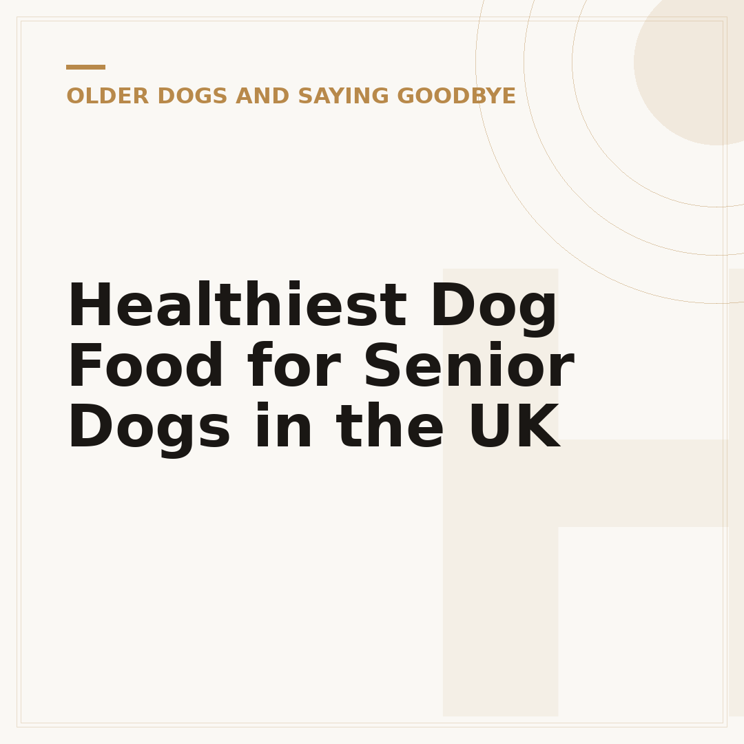 Healthiest Dog Food for Senior Dogs in the UK
