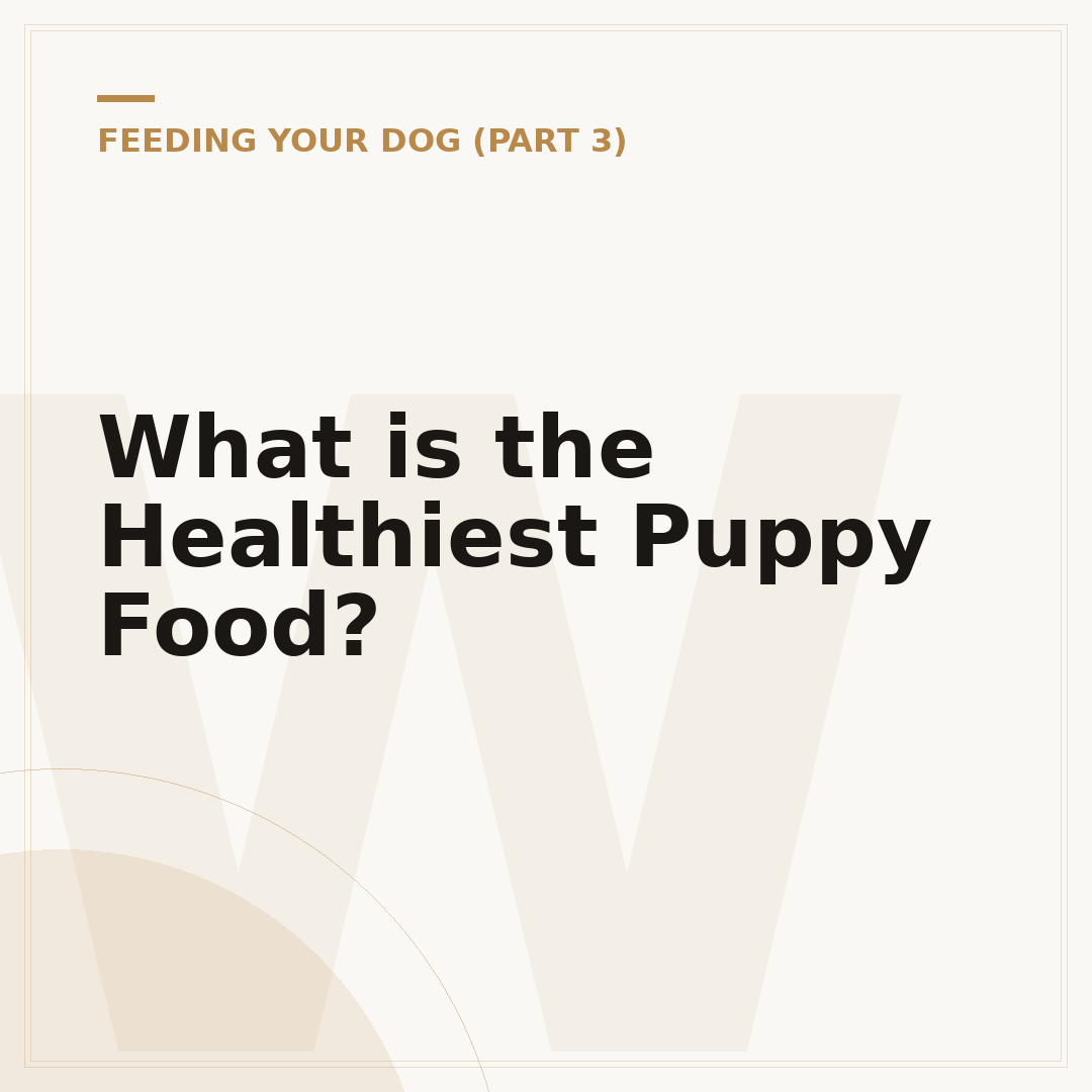 What is the Healthiest Puppy Food?