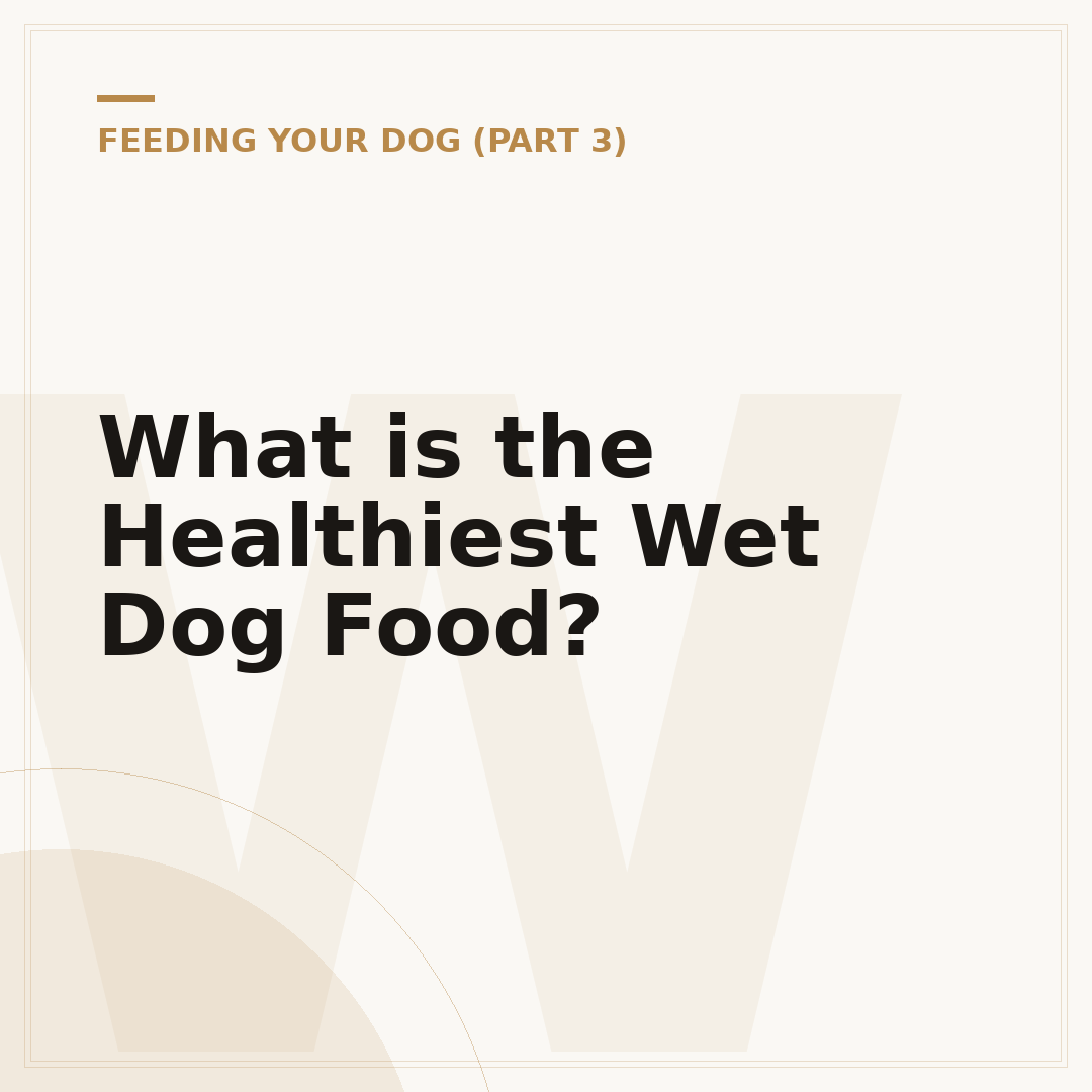 What is the Healthiest Wet Dog Food?