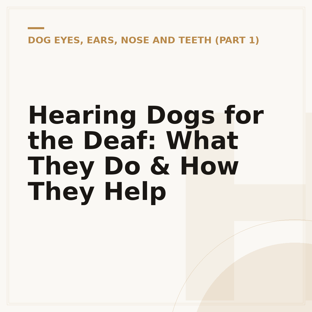 Hearing Dogs for the Deaf: What They Do & How They Help