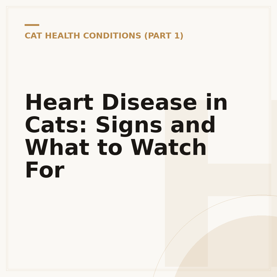 Heart Disease in Cats: Signs and What to Watch For