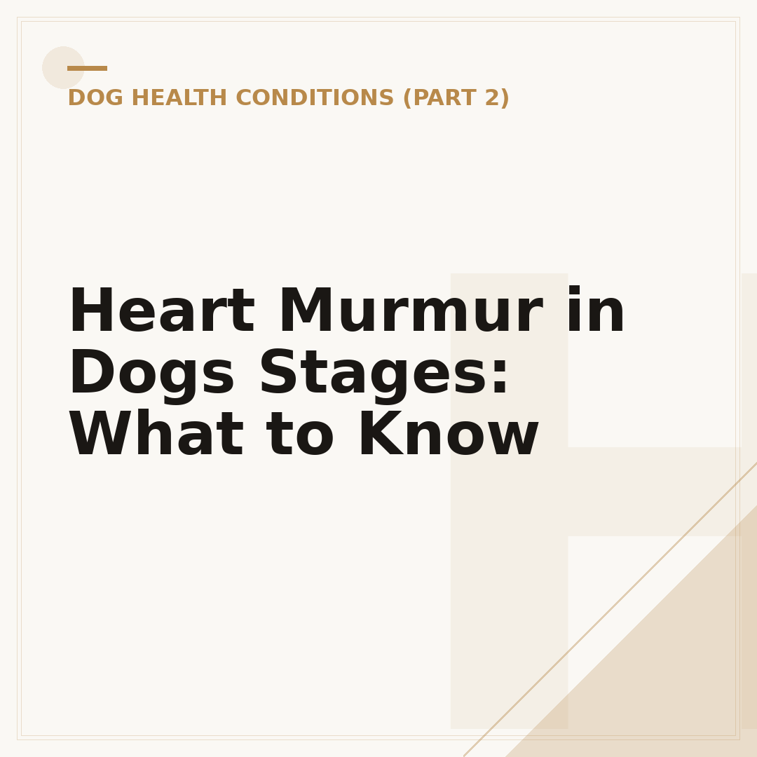 Heart Murmur in Dogs Stages: What to Know