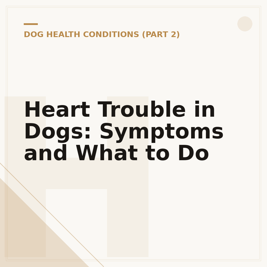Heart Trouble in Dogs: Symptoms and What to Do