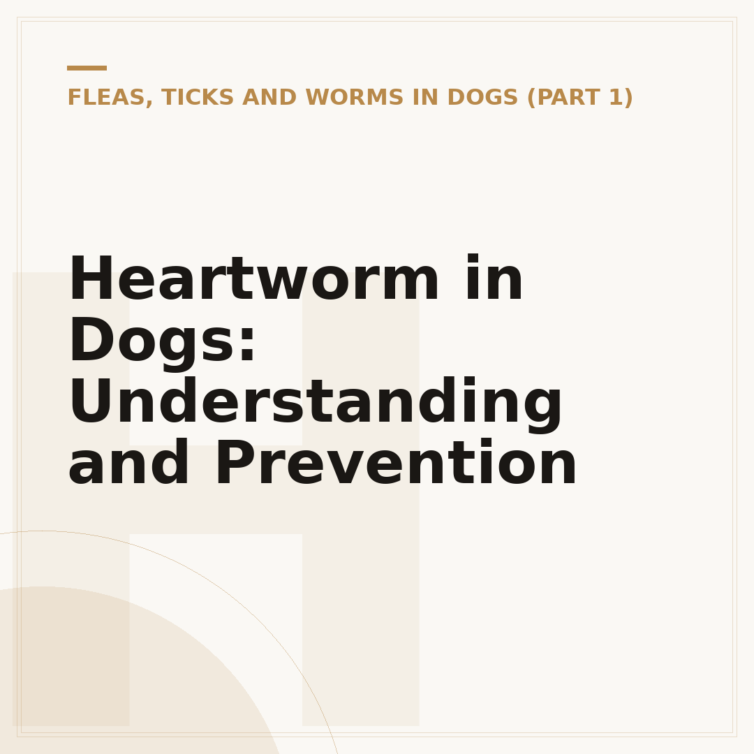 Heartworm in Dogs: Understanding and Prevention
