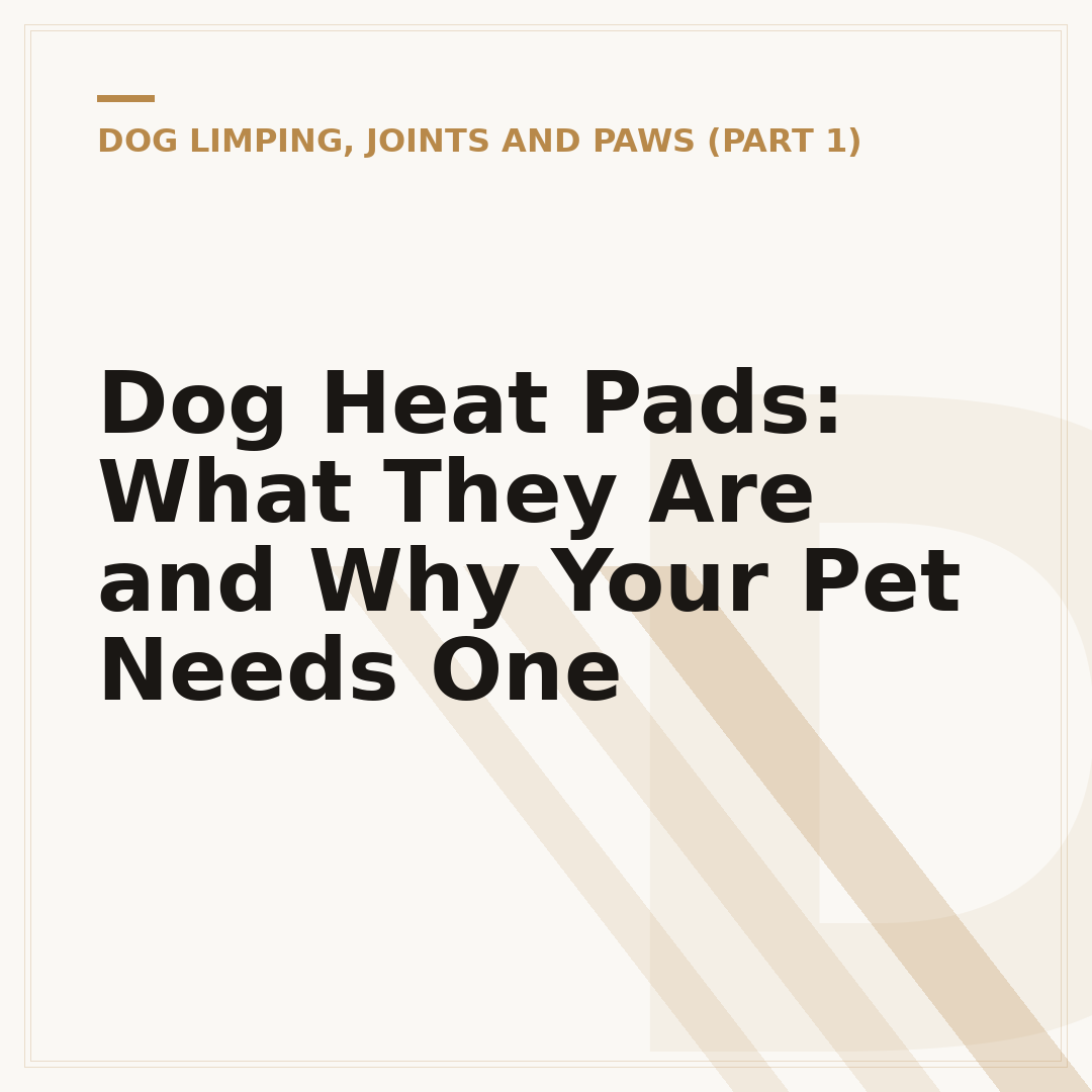 Dog Heat Pads: What They Are and Why Your Pet Needs One