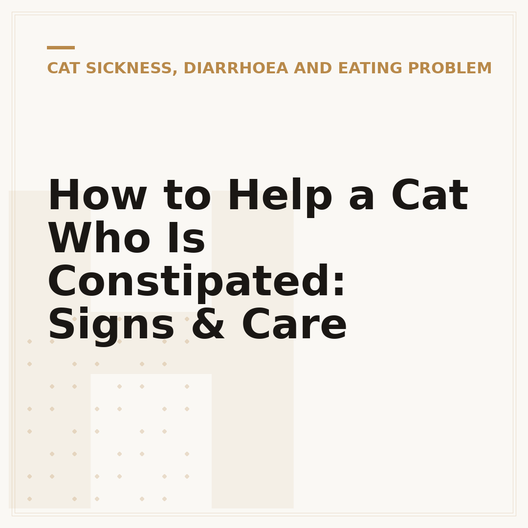 How to Help a Cat Who Is Constipated: Signs & Care