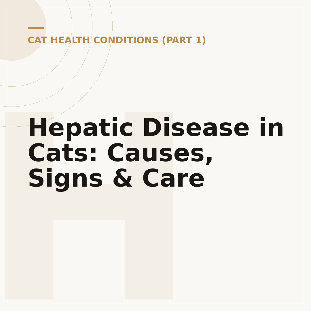 Hepatic Disease in Cats: Causes, Signs & Care
