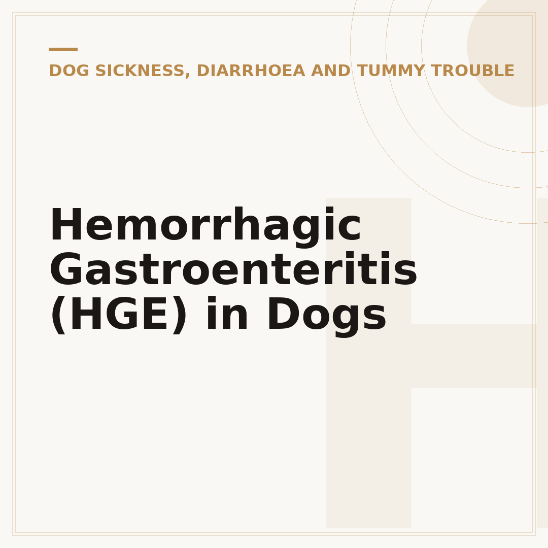 Hemorrhagic Gastroenteritis (HGE) in Dogs