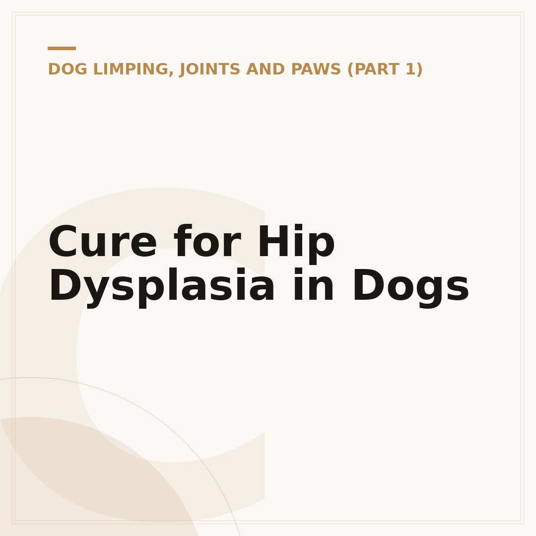 Cure for Hip Dysplasia in Dogs